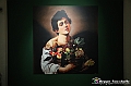 VBS_7835 - La canestra di Caravaggio